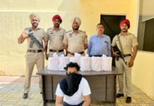 Drug Smuggler Arrested