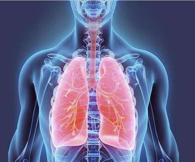 Health Tips for lungs: जहरीली हवा से फेफड़ों पर पड़ता है बुरा असर, इससे बचने के लिए करें ये उपाए