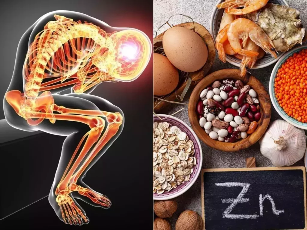 Zinc Food : शरीर में है जिंक की कमी, तो डाइट में शामिल करें ये चीजें