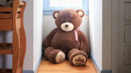 make a teddy with your hands