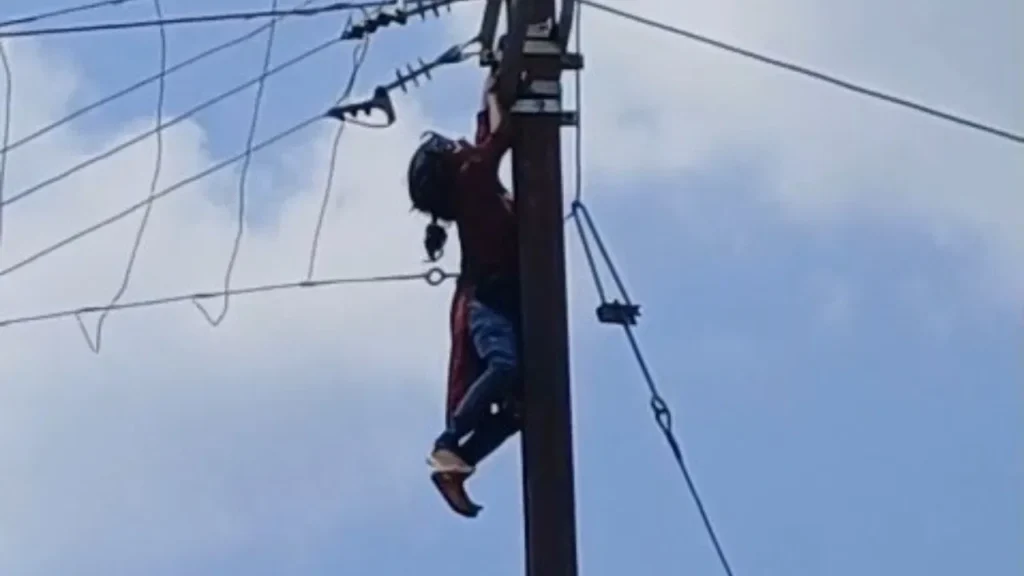 climbed on electric pole