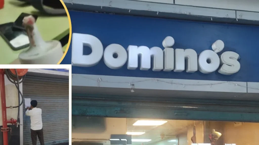 dominos outlet sealed