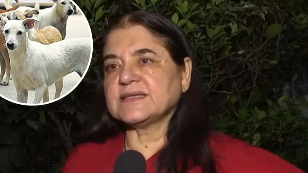 Menaka Gandhi On Supreme Court