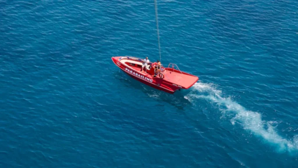 cable cut in red sea