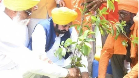 Greening Punjab Mission