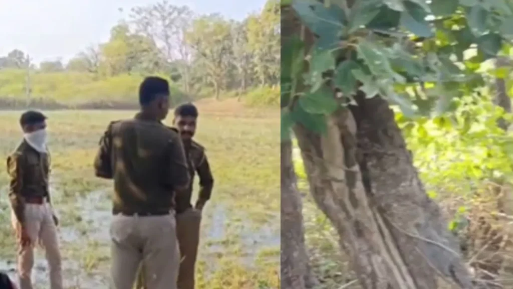lover couple committed suicide