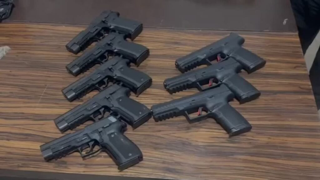 review of arms licenses