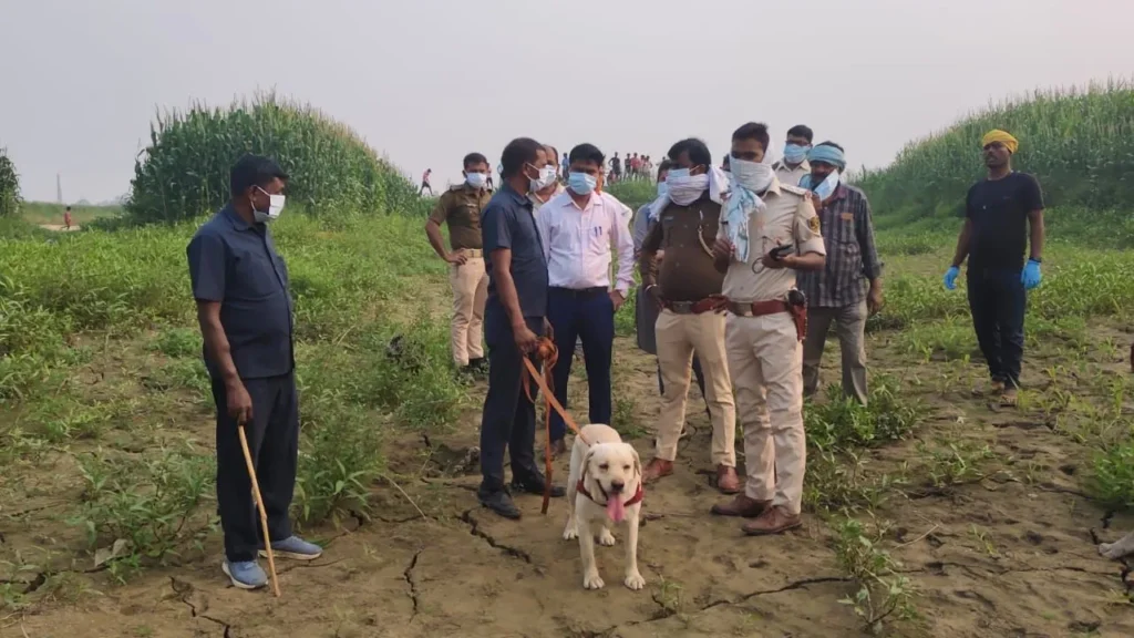 heart wrenching murder