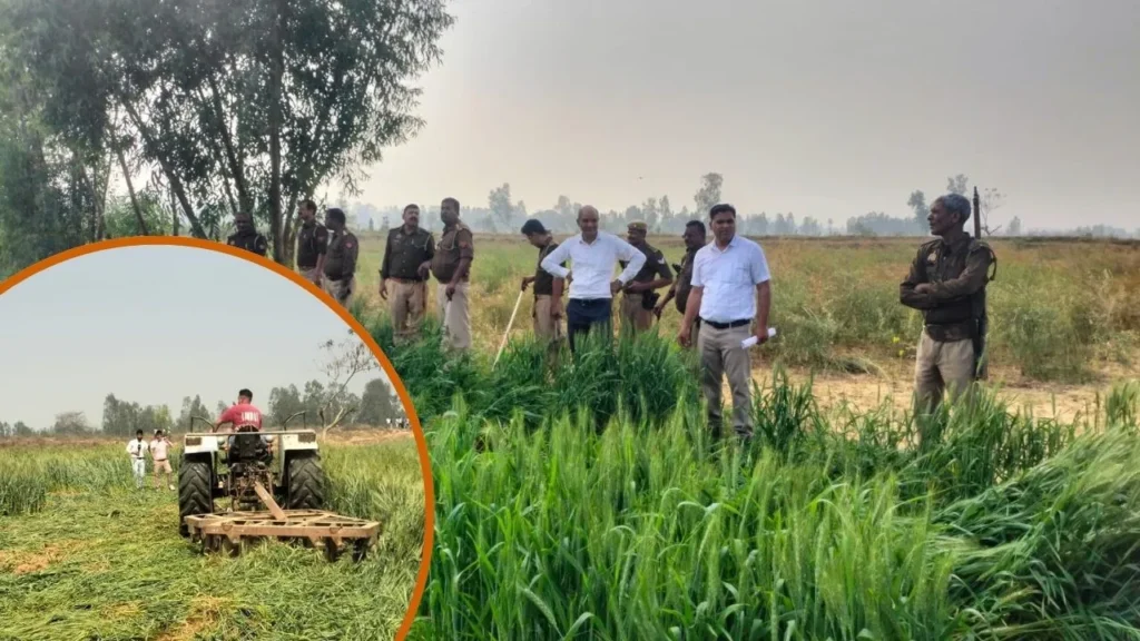 illegal encroachment removed