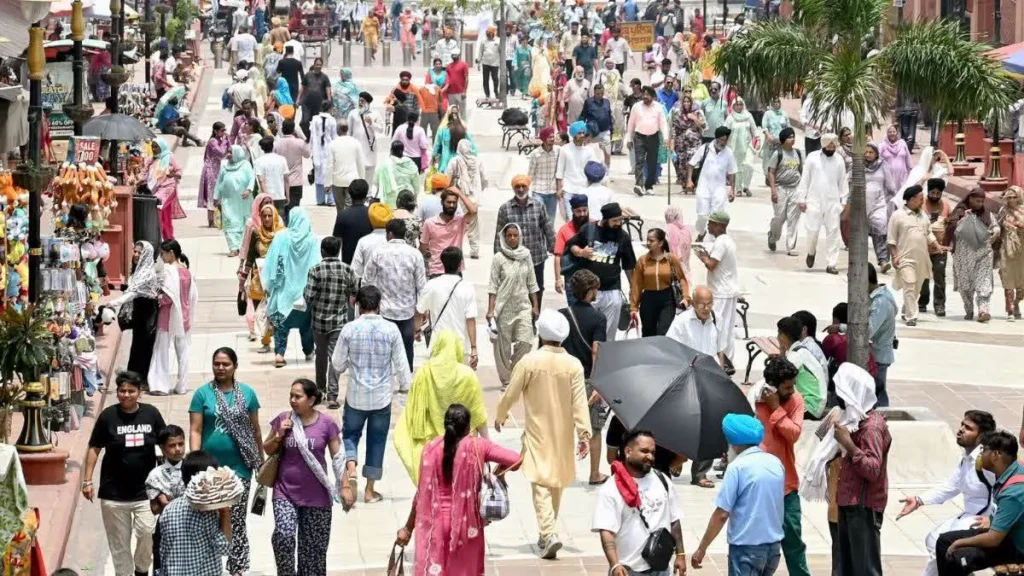 do your own census sitting at home