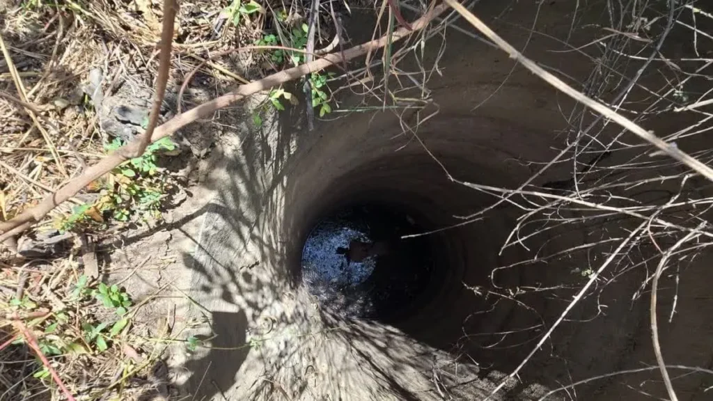 kidnapping accused brutally murdered