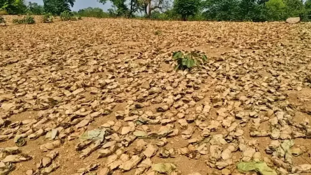 Naxal Funding Alert