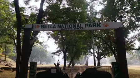 Betla National Park News: पलामू टाइगर रिजर्व की अनोखी पहल; अब छात्र सीखेंगे वन्यजीव संरक्षण और आदिवासी संस्कृति