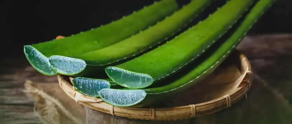 importance of aloe vera gel