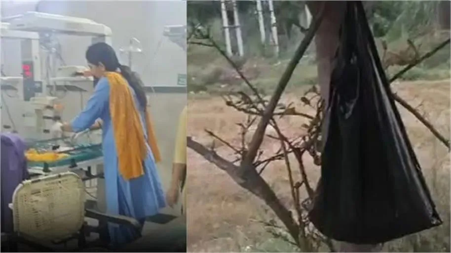 भिवानी में इंसानियत शर्मसार, पेड़ पर लटकी पॉलीथिन में मिला नवजात बच्चा; गंभीर हालत में रोहतक PGI रेफर shame on humanity in bhiwani