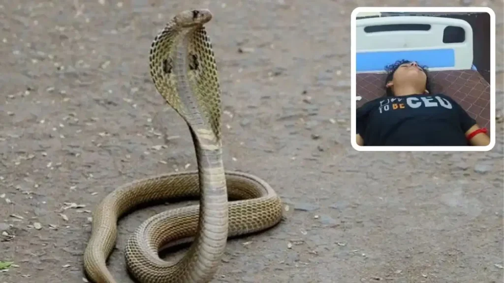 Snake Bite Incident in Hathras: घर में काम करते समय किशोरी को फिर काटा सांप, वन विभाग से मदद की गुहार