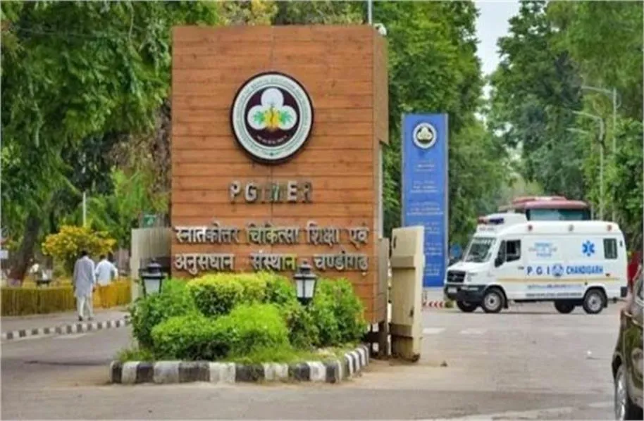 मौसम बदलते ही स्वाइन फ्लू का कहर, PGI में 170 केस मिले; डॉक्टरों ने जारी की एडवाइजरी Swine Flu Alert