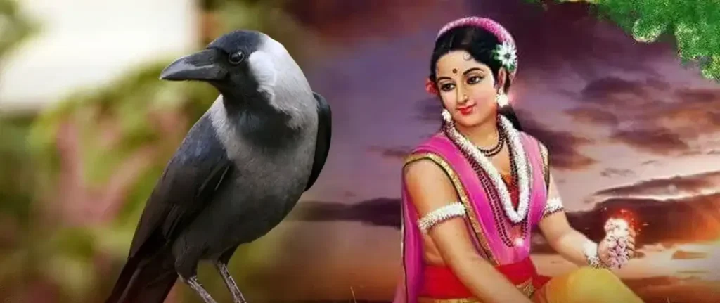 Sita Curse to Crow