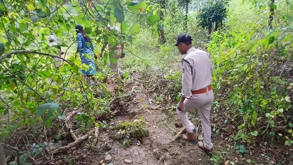 Shahdol Tiger Attack: शहडोल में गाय ढूंढने जंगल गए ग्रामीण पर टाइगर ने किया हमला, दर्दनाक मौत से गांव में पसरा मातम